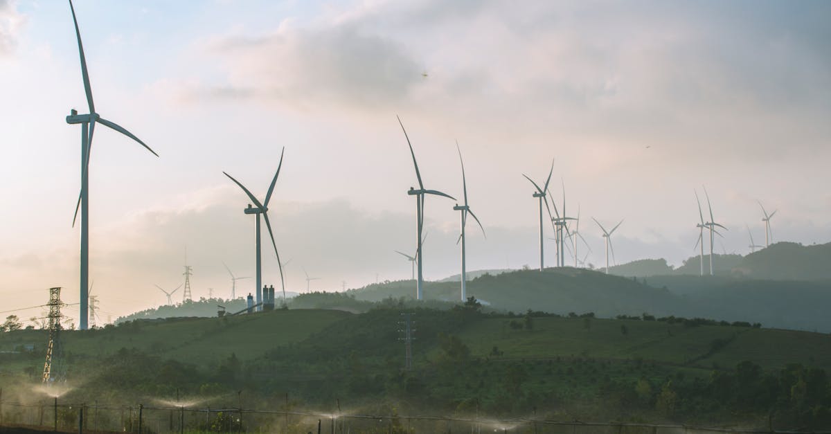 découvrez nos initiatives et conseils pour adopter un mode de vie durable et respectueux de l'environnement.