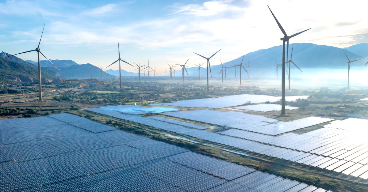 découvrez les meilleures pratiques et stratégies pour promouvoir la durabilité environnementale, sociale et économique dans tous les aspects de la vie.