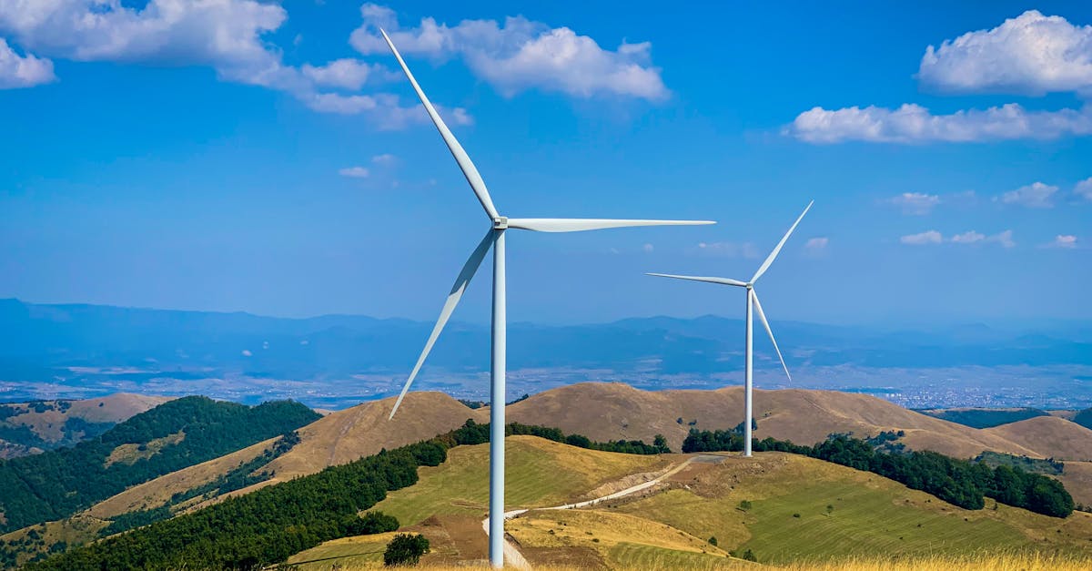 découvrez les meilleures pratiques et innovations pour promouvoir la durabilité et protéger notre planète pour les générations futures.