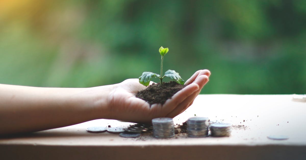 découvrez des stratégies et pratiques pour une croissance durable alliant performance économique, responsabilité sociale et respect de l'environnement.