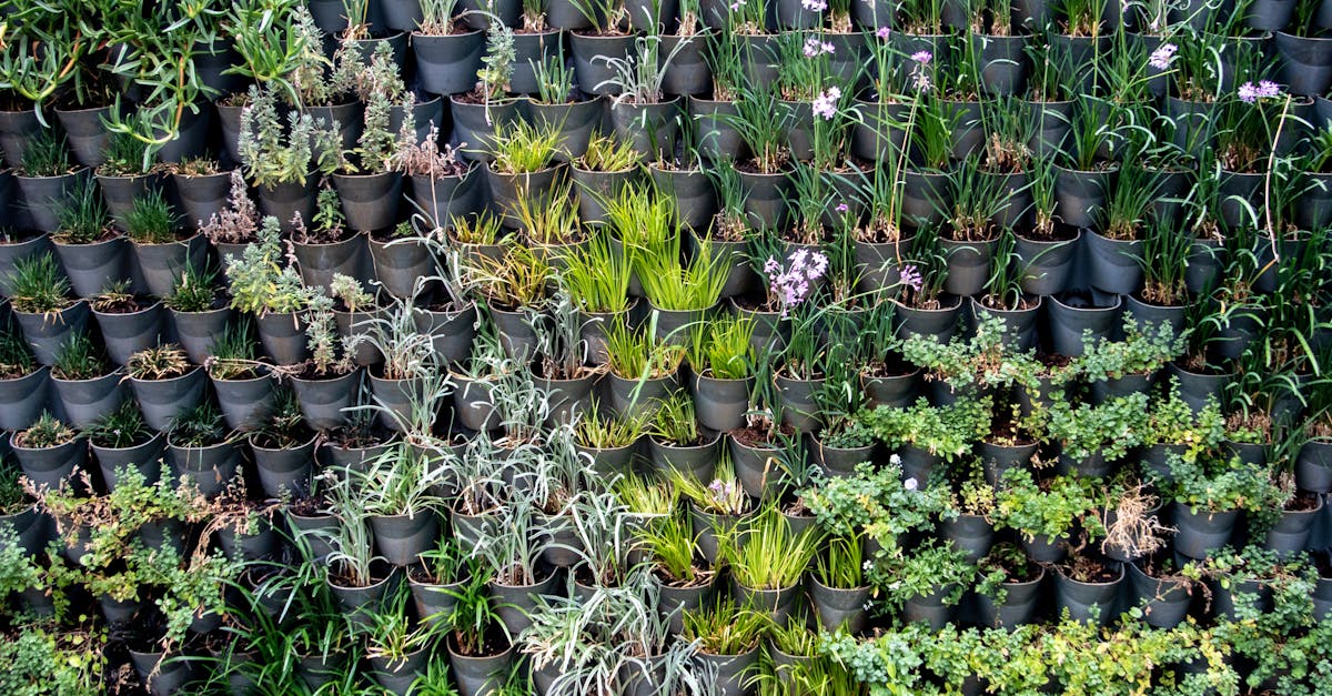 découvrez des stratégies efficaces pour favoriser une croissance durable, alliant performance économique, respect de l'environnement et responsabilité sociale.