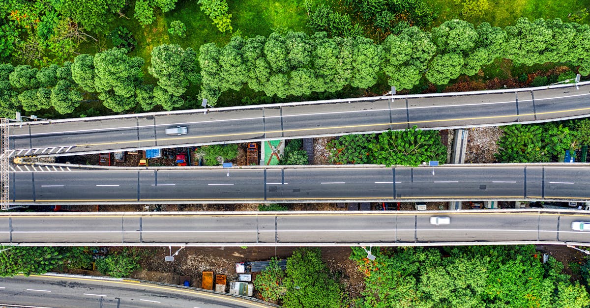 d&eacute;couvrez les cl&eacute;s de la transition durable pour un avenir respectueux de l'environnement et &eacute;conomiquement viable.