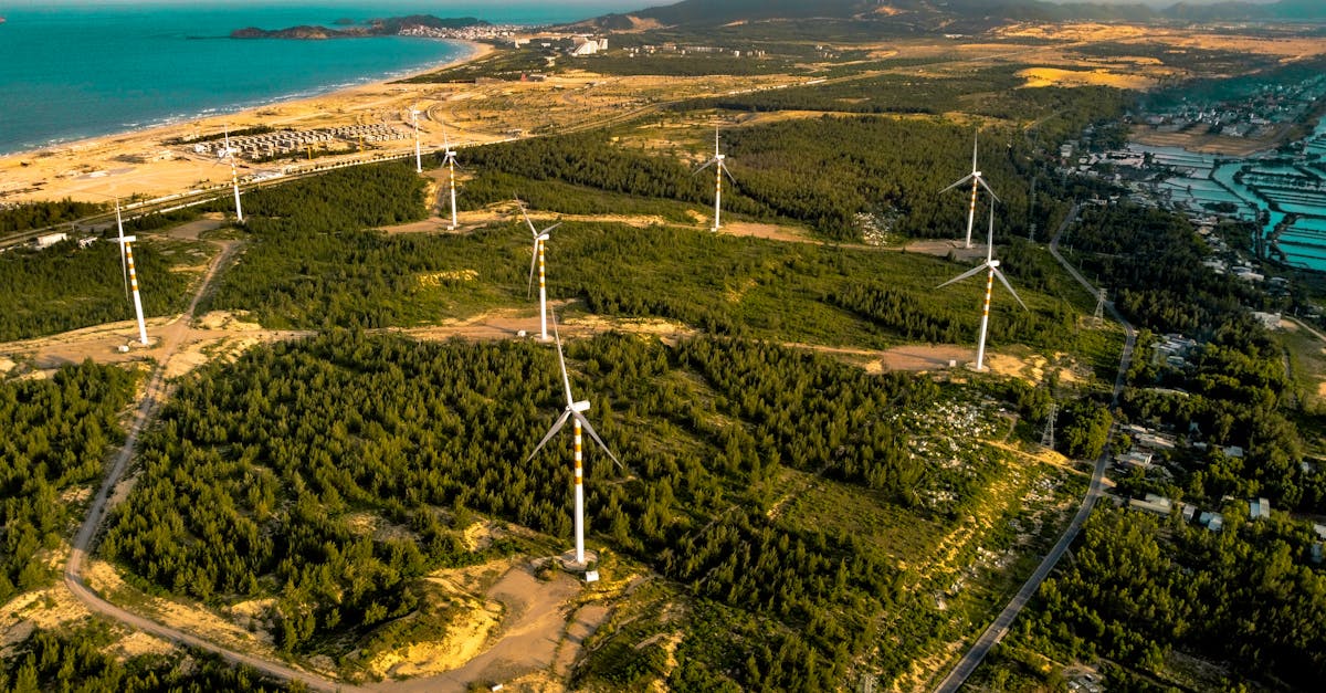 d&eacute;couvrez les enjeux et solutions pour une transition durable alliant &eacute;cologie, &eacute;conomie et innovation afin de pr&eacute;server notre plan&egrave;te pour les g&eacute;n&eacute;rations futures.