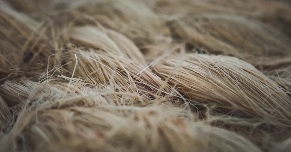 d&eacute;couvrez l'eco-score textile, une mesure transparente de l'impact environnemental des produits textiles pour un choix durable et responsable.