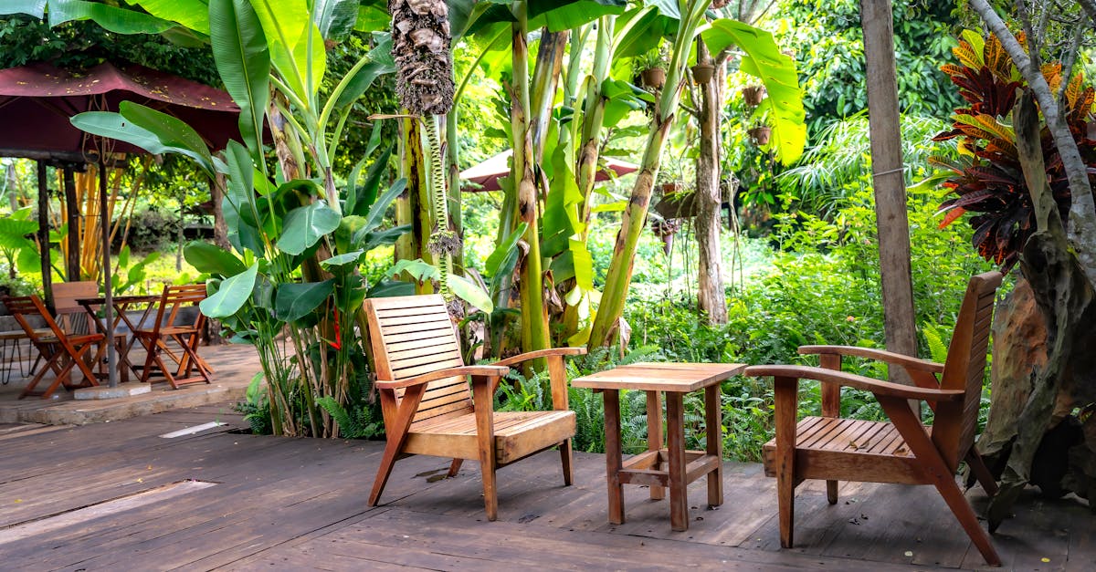 découvrez un jardin tropical luxuriant mêlant végétation exotique, couleurs vibrantes et atmosphère apaisante pour un véritable coin de paradis.