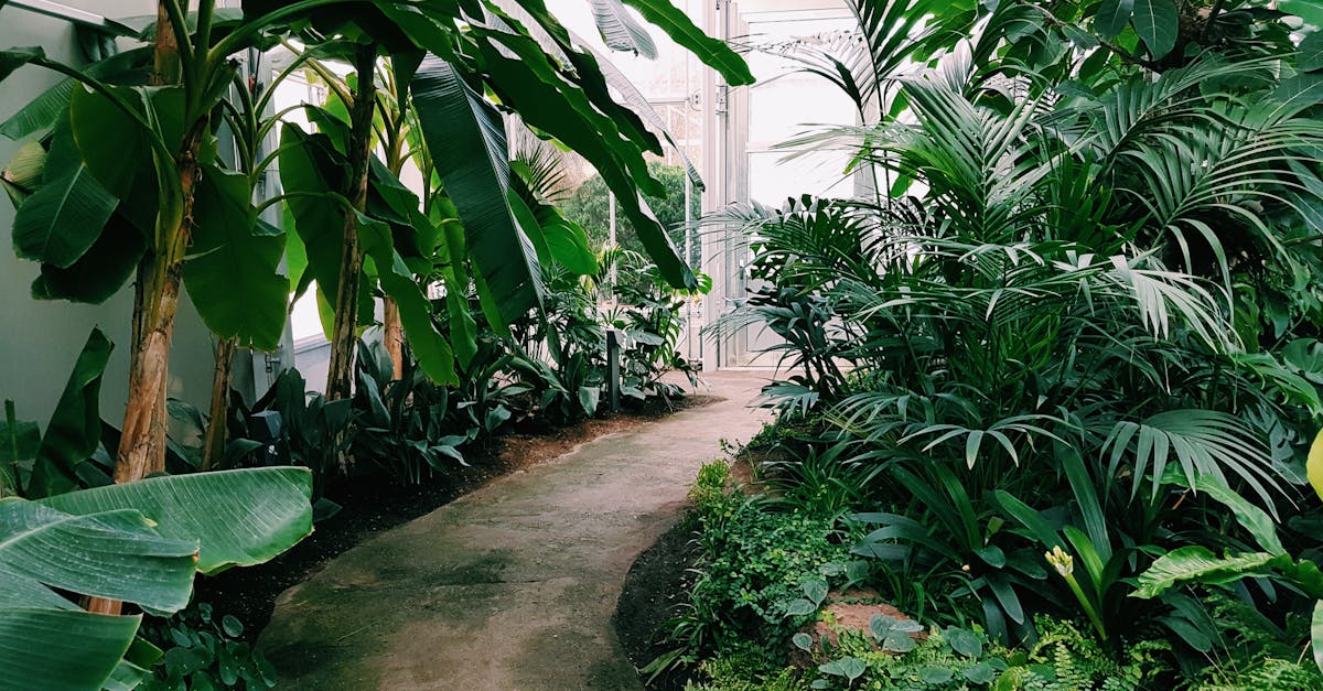 découvrez notre jardin tropical luxuriant, un véritable paradis exotique où la nature s'épanouit avec des plantes exotiques et une ambiance relaxante.