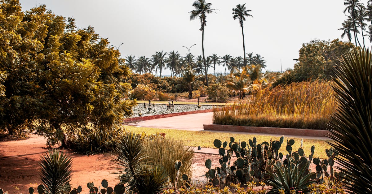 découvrez un jardin tropical luxuriant où la nature exotique s'épanouit avec des plantes rares, des couleurs vibrantes et une ambiance paradisiaque.