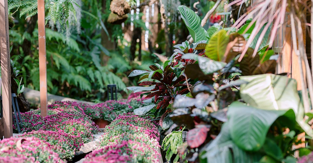 découvrez notre jardin tropical luxuriant, un havre de paix rempli de plantes exotiques et de fleurs colorées pour une ambiance paradisiaque toute l'année.