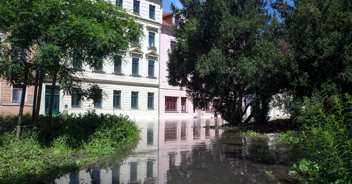 d&eacute;couvrez l'urban renaturation, une d&eacute;marche innovante pour int&eacute;grer la nature en milieu urbain et am&eacute;liorer la qualit&eacute; de vie en ville.