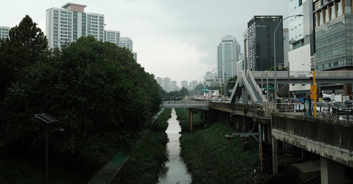 d&eacute;couvrez l'urban renaturation : int&eacute;grer la nature en milieu urbain pour un environnement plus sain, durable et agr&eacute;able &agrave; vivre.