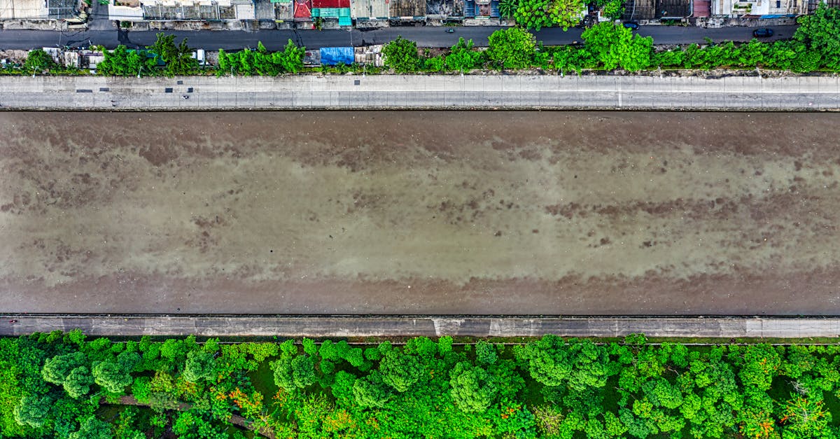 d&eacute;couvrez l'urban renaturation, une approche innovante pour int&eacute;grer la nature en milieu urbain et favoriser un environnement plus durable et agr&eacute;able.