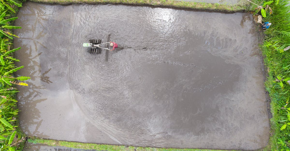 d&eacute;couvrez les techniques de culture de la vanille, de la plantation &agrave; la r&eacute;colte, pour obtenir une vanille de qualit&eacute; exceptionnelle.