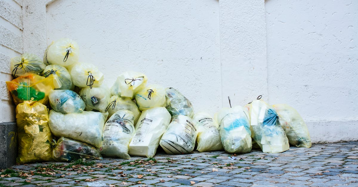 service de collecte des d&eacute;chets efficace et respectueux de l'environnement pour un cadre de vie propre et sain.