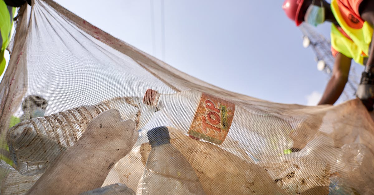 service de collecte des d&eacute;chets efficace et &eacute;cologique pour un environnement propre et durable.