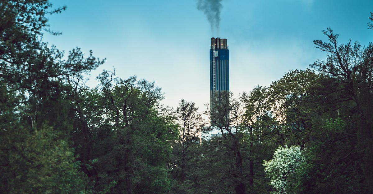 d&eacute;couvrez le carbon score, un indicateur cl&eacute; pour mesurer et r&eacute;duire votre empreinte carbone, contribuant ainsi &agrave; un avenir plus durable.