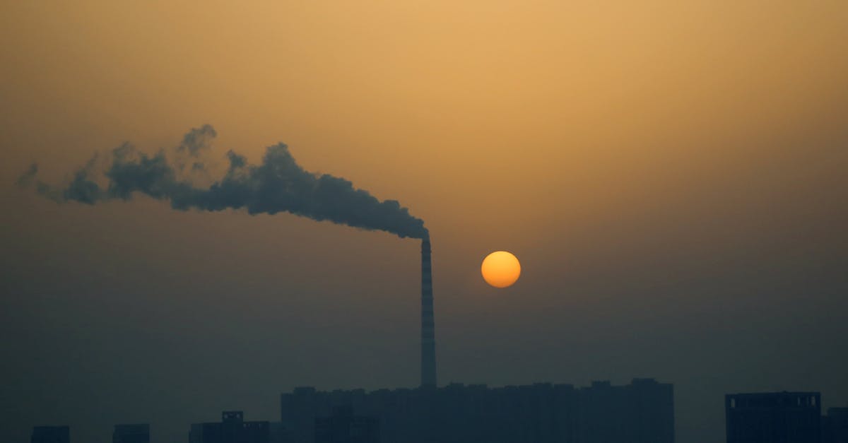d&eacute;couvrez le carbon score, un indice essentiel pour mesurer et r&eacute;duire votre empreinte carbone afin de contribuer &agrave; la protection de l'environnement.