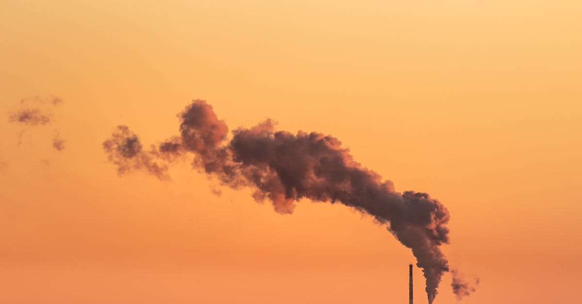 d&eacute;couvrez le carbon score, un indicateur cl&eacute; pour mesurer et r&eacute;duire votre empreinte carbone efficacement.
