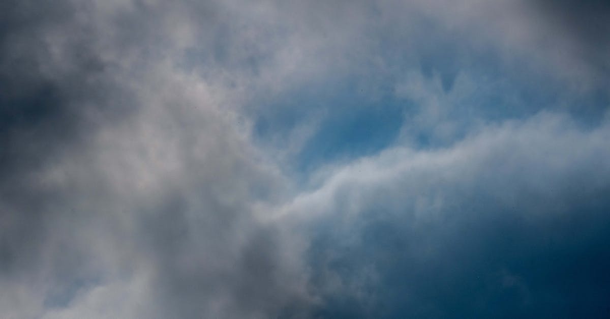 d&eacute;couvrez les enjeux actuels du climat, les tendances m&eacute;t&eacute;orologiques et les actions pour prot&eacute;ger notre plan&egrave;te face au changement climatique.
