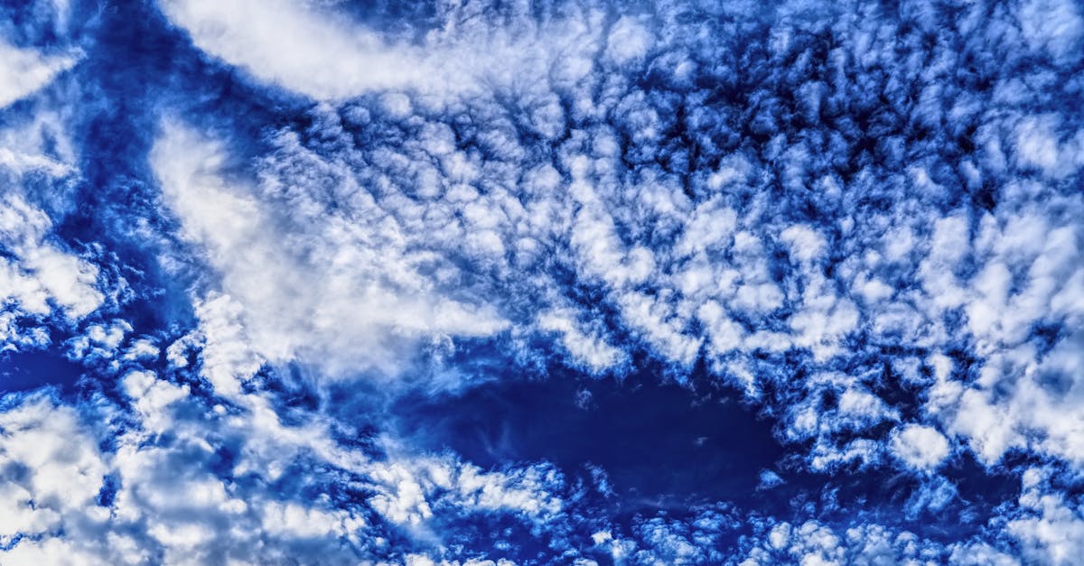 d&eacute;couvrez des informations essentielles et actuelles sur le climat, ses d&eacute;fis et ses impacts pour un avenir durable.