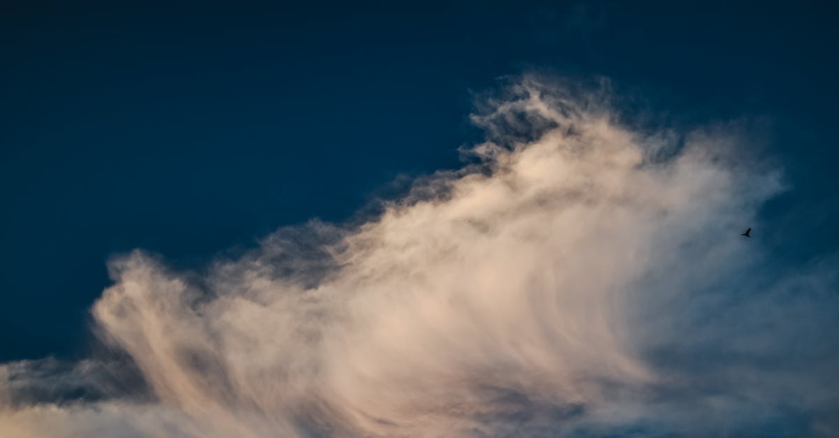 d&eacute;couvrez tout sur le climat, ses variations, ses impacts environnementaux et comment agir pour un avenir durable.
