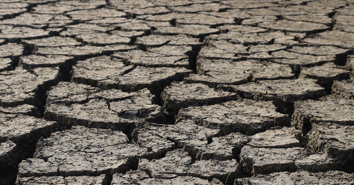 d&eacute;couvrez les enjeux du changement climatique, ses causes, ses impacts sur la plan&egrave;te et les mesures &agrave; adopter pour un avenir durable.