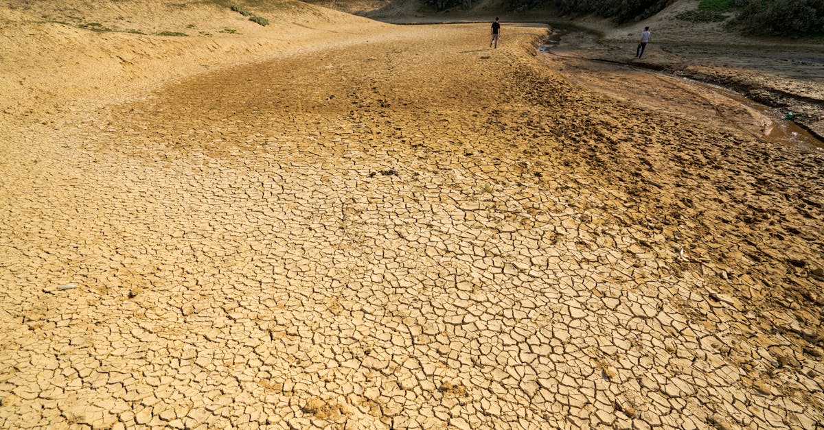 d&eacute;couvrez les causes, les impacts et les solutions du changement climatique pour mieux comprendre et agir face &agrave; cette urgence environnementale mondiale.