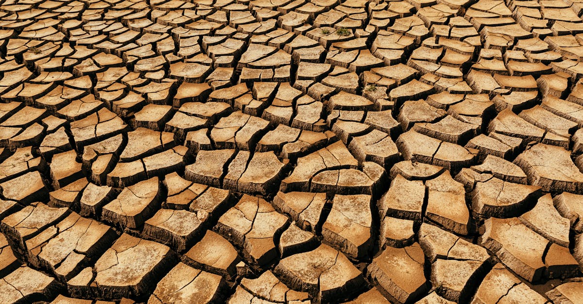 d&eacute;couvrez les causes, impacts et solutions du changement climatique pour mieux comprendre et agir en faveur de la plan&egrave;te.