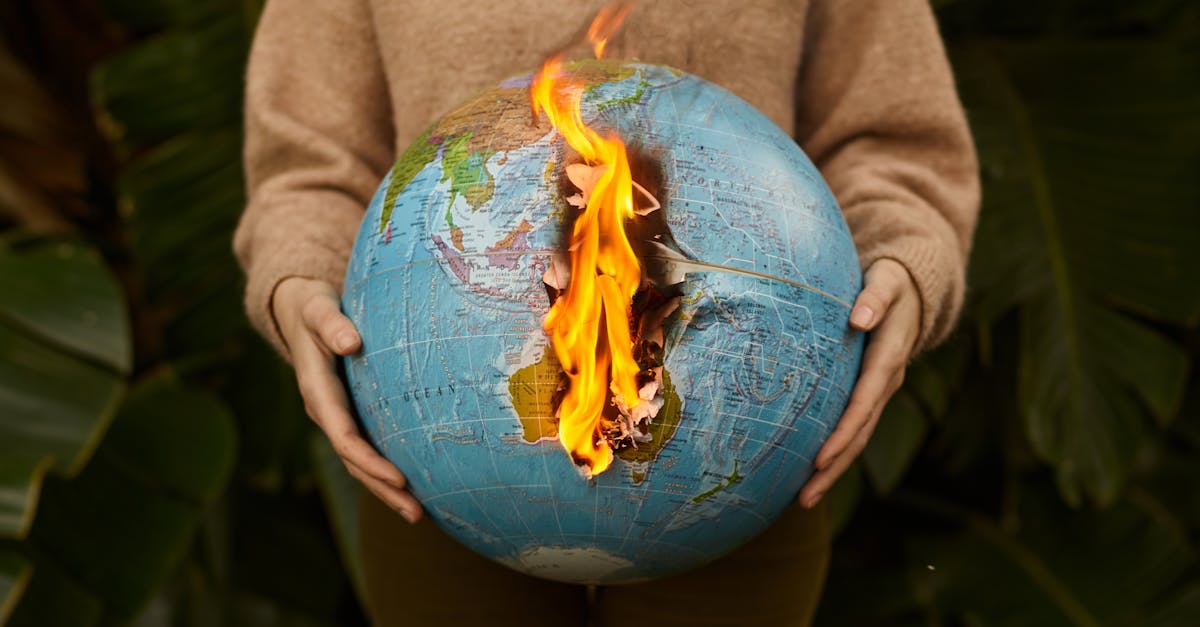 d&eacute;couvrez l'impact du changement climatique sur notre plan&egrave;te et les actions essentielles pour prot&eacute;ger l'environnement et assurer un avenir durable.