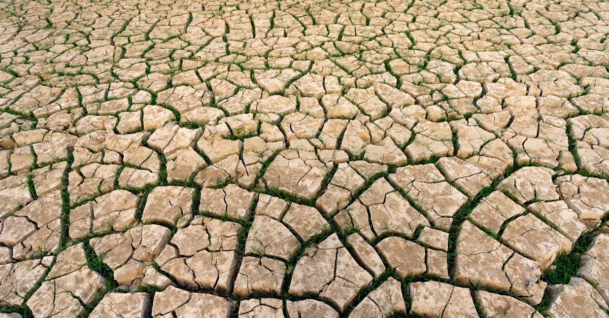 d&eacute;couvrez les effets du changement climatique sur notre plan&egrave;te, ses &eacute;cosyst&egrave;mes et les actions pour r&eacute;duire notre empreinte carbone.
