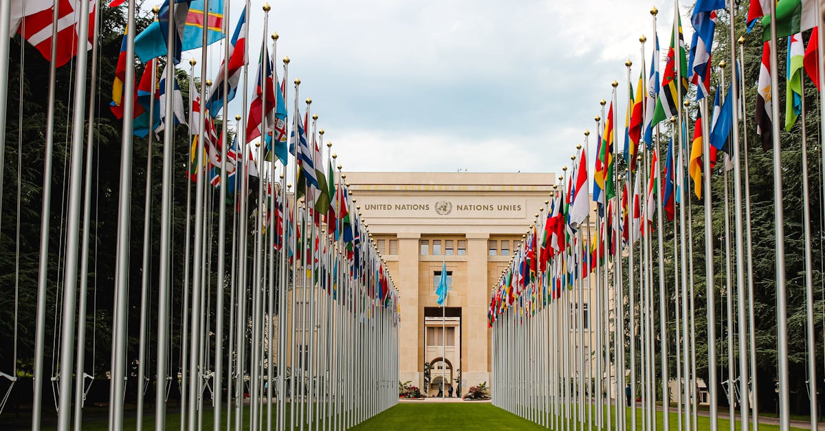 d&eacute;couvrez les principes et les pratiques de la coop&eacute;ration diplomatique, essentielle pour renforcer les relations internationales et promouvoir la paix entre les nations.