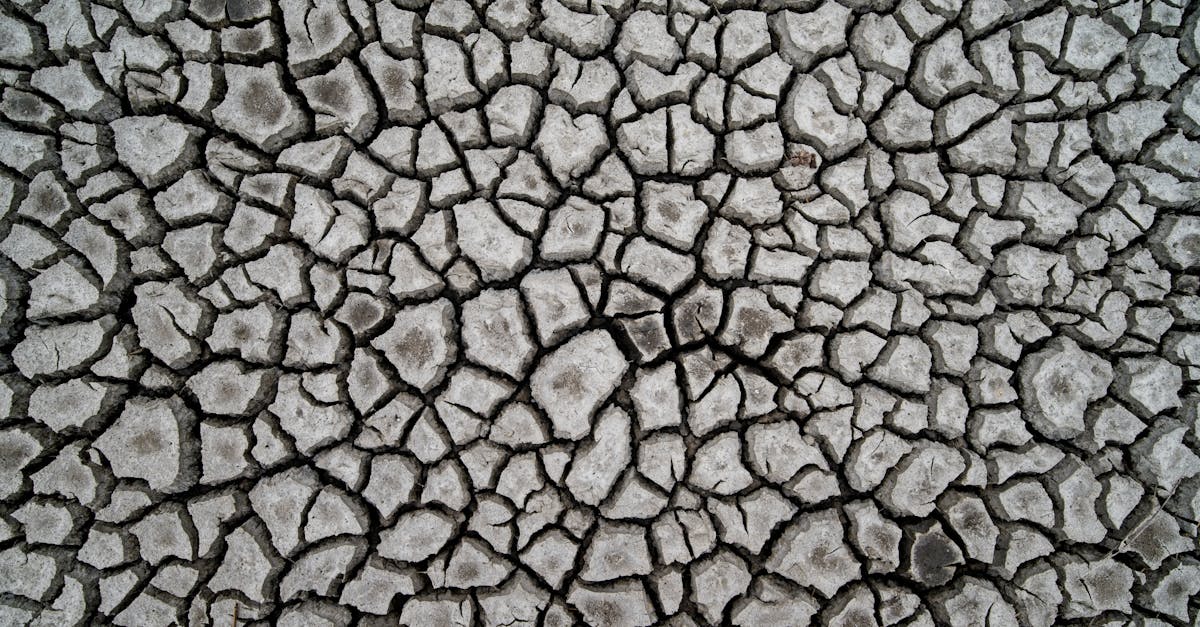 d&eacute;couvrez tout sur la s&eacute;cheresse : causes, impacts environnementaux et solutions pour y faire face efficacement.