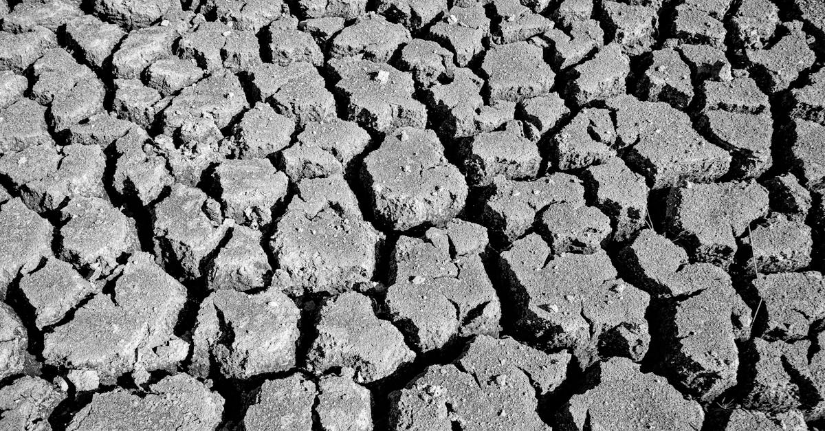 d&eacute;couvrez les causes, les impacts et les solutions face &agrave; la s&eacute;cheresse, un ph&eacute;nom&egrave;ne climatique aux cons&eacute;quences importantes sur l'environnement et l'agriculture.