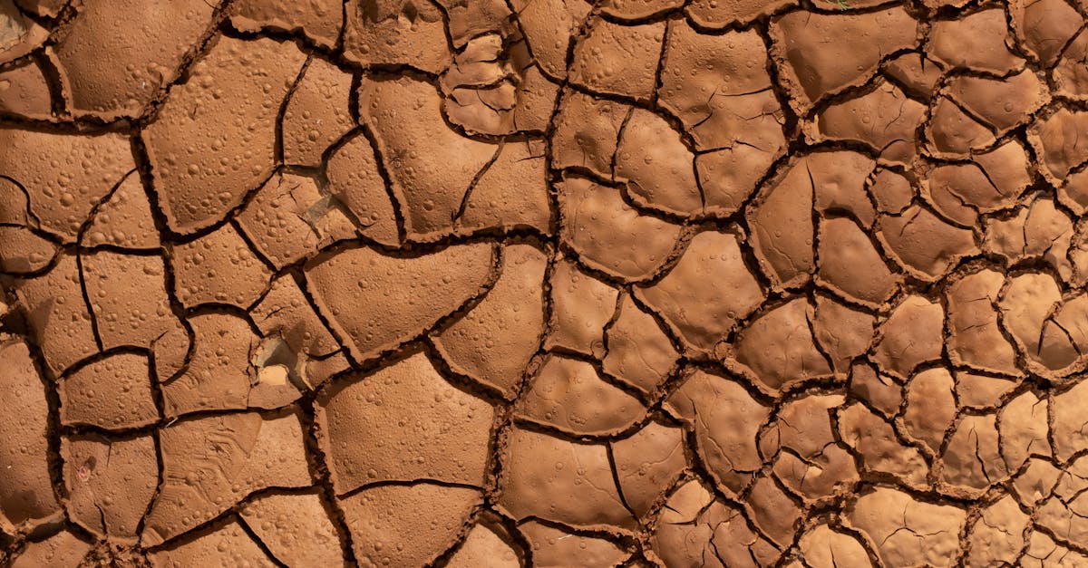 d&eacute;couvrez les causes, les impacts et les solutions face &agrave; la s&eacute;cheresse, un ph&eacute;nom&egrave;ne climatique affectant l'environnement et l'agriculture.