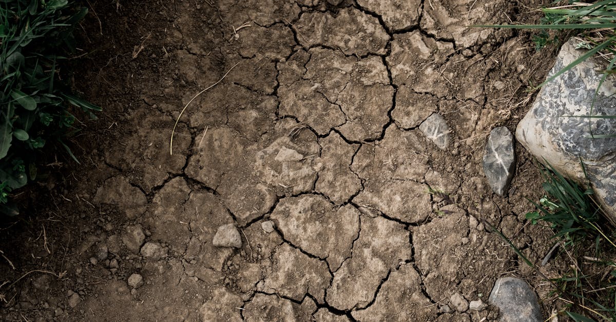 d&eacute;couvrez les causes, impacts et solutions face &agrave; la s&eacute;cheresse, un ph&eacute;nom&egrave;ne climatique critique affectant l'eau et l'agriculture.