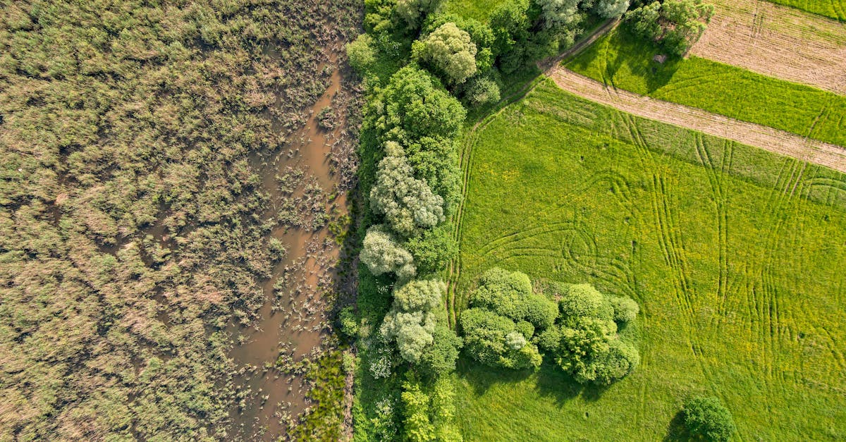 agence d&eacute;di&eacute;e &agrave; la transition &eacute;cologique, accompagnant les entreprises et collectivit&eacute;s vers des pratiques durables et responsables pour un avenir respectueux de l'environnement.