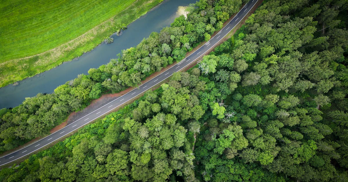 agence sp&eacute;cialis&eacute;e dans la transition &eacute;cologique, accompagnant les entreprises et collectivit&eacute;s vers des solutions durables et respectueuses de l'environnement.
