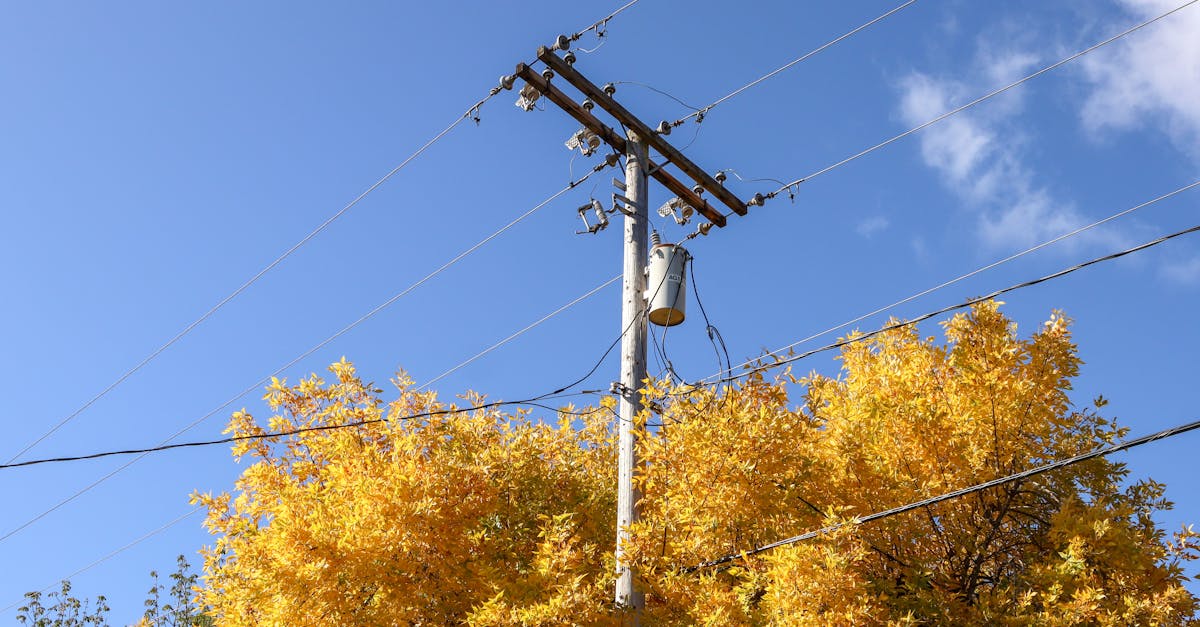 d&eacute;couvrez les enjeux et les solutions de la transition &eacute;lectrique pour un futur &eacute;nerg&eacute;tique durable et respectueux de l'environnement.