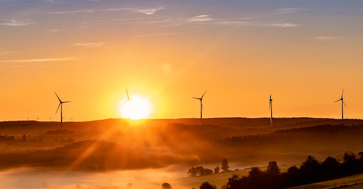 d&eacute;couvrez tout ce qu'il faut savoir sur l'&eacute;nergie : sources, utilisation, innovations et impact environnemental pour un avenir durable.
