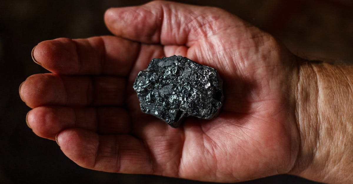 d&eacute;couvrez tout sur les combustibles fossiles : leur origine, leur impact environnemental et leur r&ocirc;le dans l'&eacute;nergie mondiale.