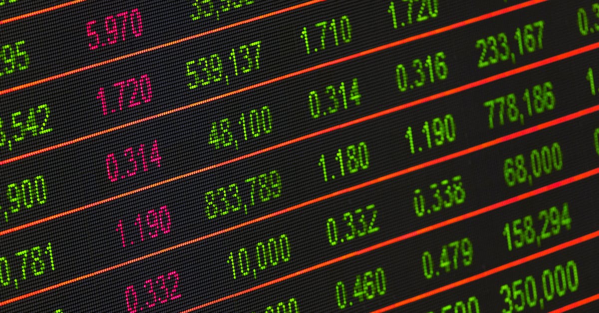 d&eacute;couvrez la finance verte, un secteur en pleine croissance d&eacute;di&eacute; au financement des projets respectueux de l'environnement et au d&eacute;veloppement durable.