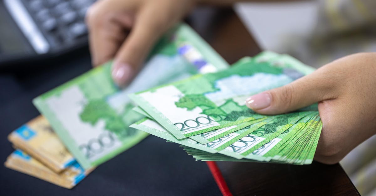 d&eacute;couvrez la finance verte : des solutions d'investissement durables pour soutenir la transition &eacute;cologique et un d&eacute;veloppement respectueux de l'environnement.