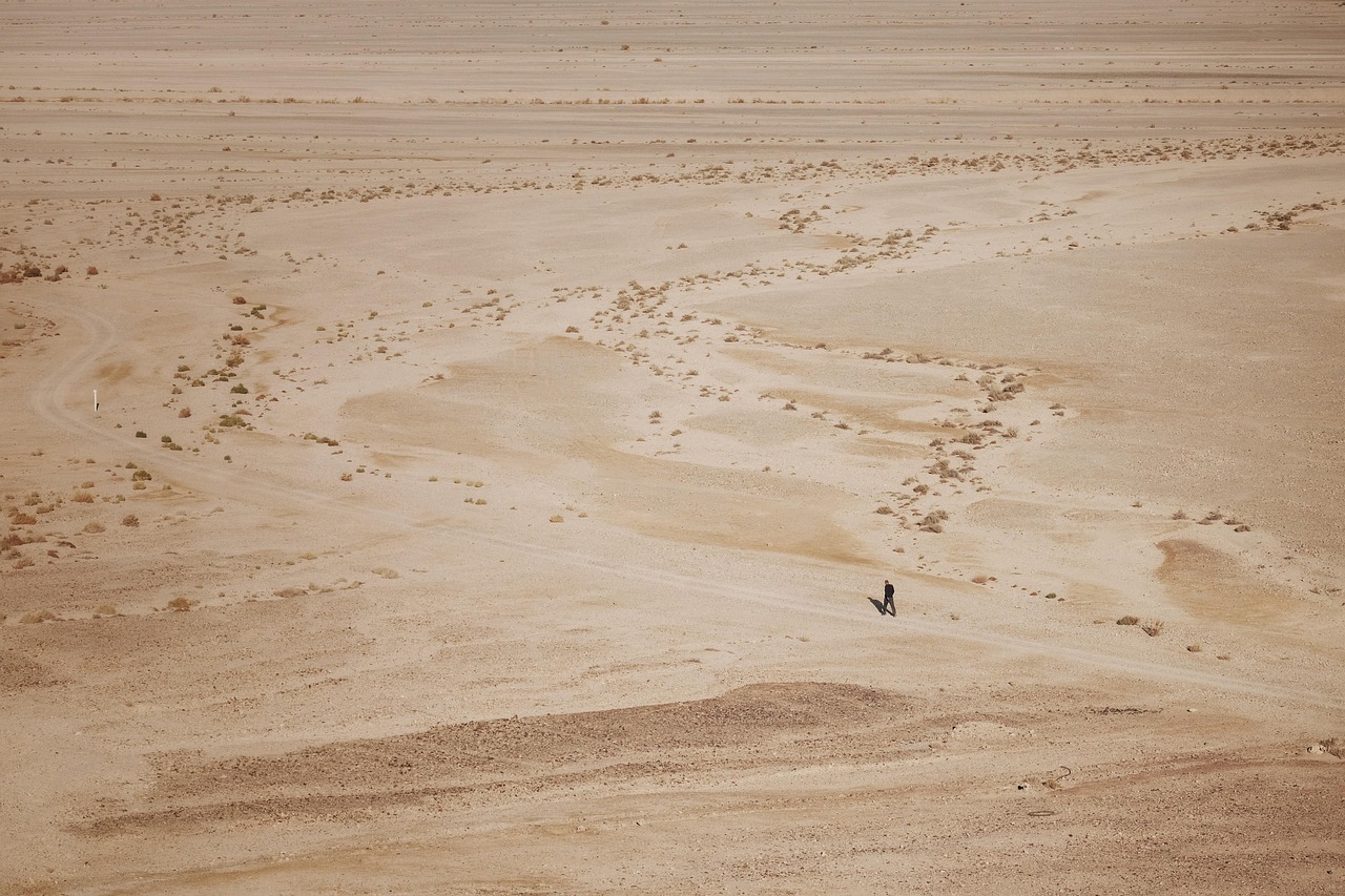 d&eacute;couvrez le minimalisme, un style de vie et de design qui privil&eacute;gie la simplicit&eacute;, l'essentiel et la fonctionnalit&eacute; pour un quotidien plus &eacute;pur&eacute; et serein.