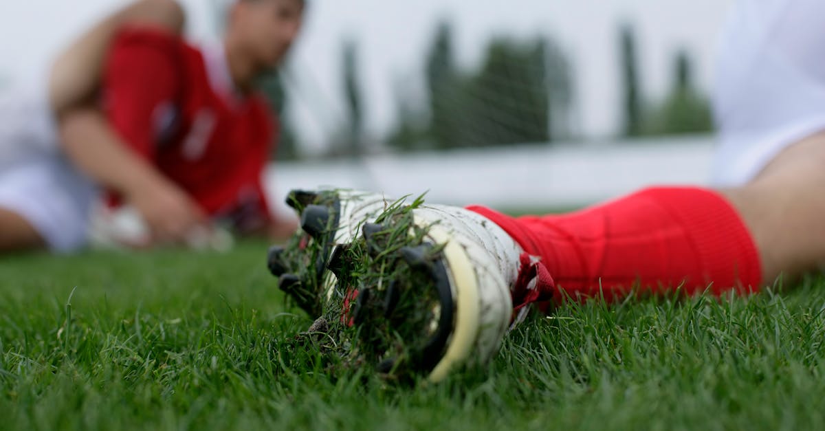 d&eacute;couvrez les enjeux et les cons&eacute;quences de la violence dans le sport, ainsi que les mesures pour pr&eacute;venir et g&eacute;rer ce ph&eacute;nom&egrave;ne.