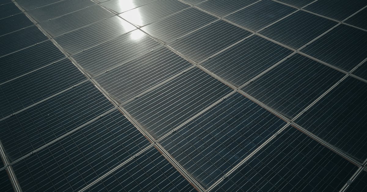 d&eacute;couvrez nos initiatives et solutions pour promouvoir la durabilit&eacute; environnementale, sociale et &eacute;conomique, afin de construire un avenir responsable et respectueux de la plan&egrave;te.
