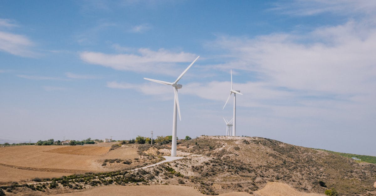 d&eacute;couvrez des strat&eacute;gies et des pratiques durables pour pr&eacute;server l'environnement, favoriser l'&eacute;conomie circulaire et promouvoir un avenir responsable.