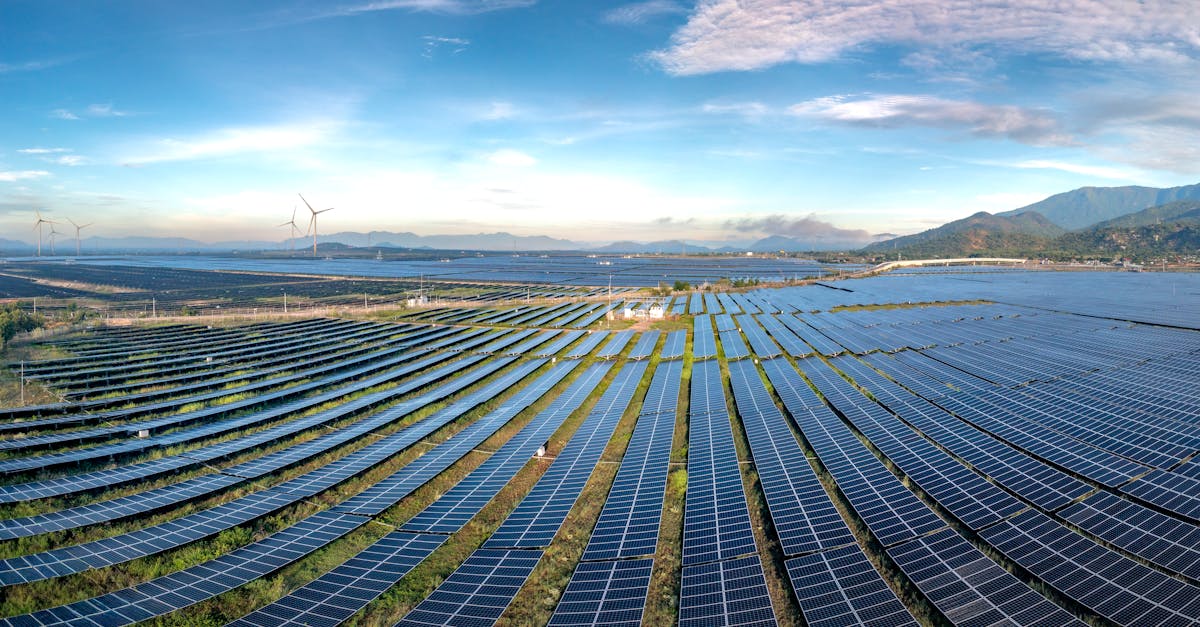 d&eacute;couvrez comment int&eacute;grer la durabilit&eacute; dans vos pratiques pour un avenir respectueux de l'environnement et socialement responsable.