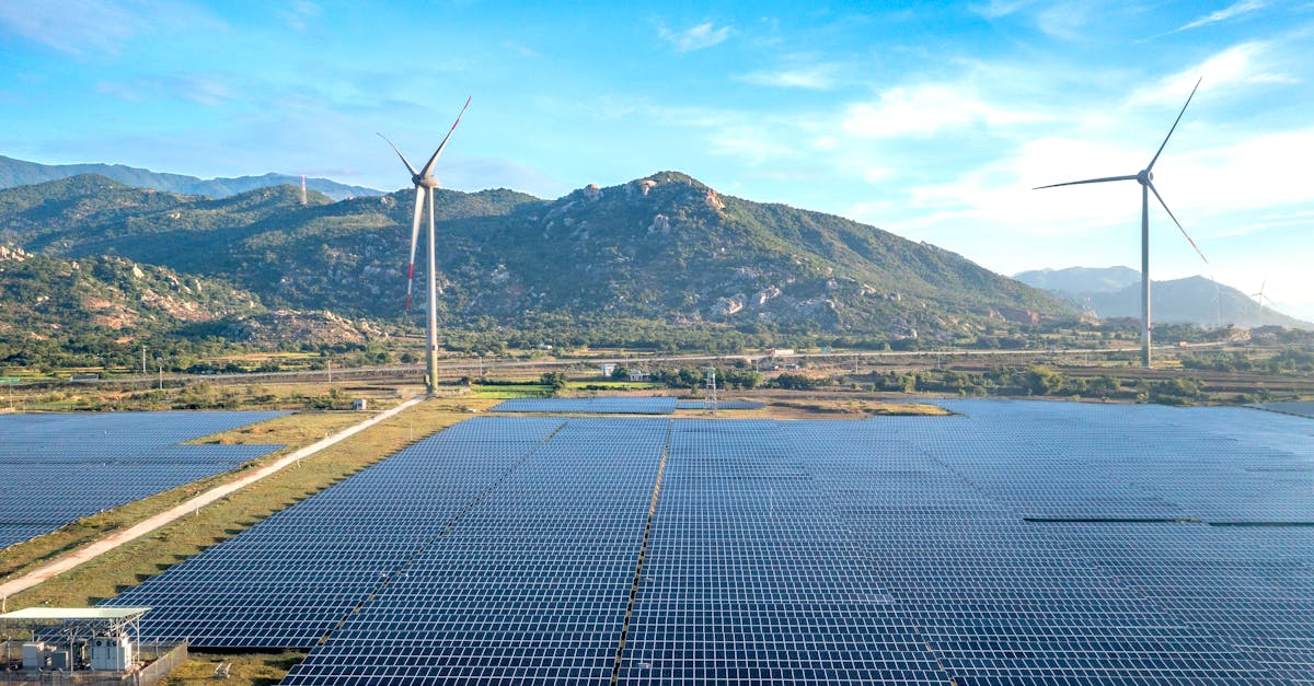 d&eacute;couvrez nos initiatives et conseils pour adopter des pratiques durables et respectueuses de l'environnement afin de pr&eacute;server la plan&egrave;te pour les g&eacute;n&eacute;rations futures.