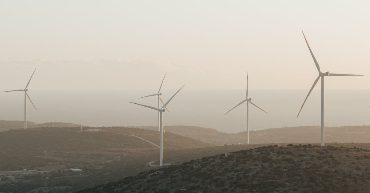 d&eacute;couvrez nos initiatives et conseils pour un d&eacute;veloppement durable et respectueux de l'environnement, afin de pr&eacute;server la plan&egrave;te pour les g&eacute;n&eacute;rations futures.