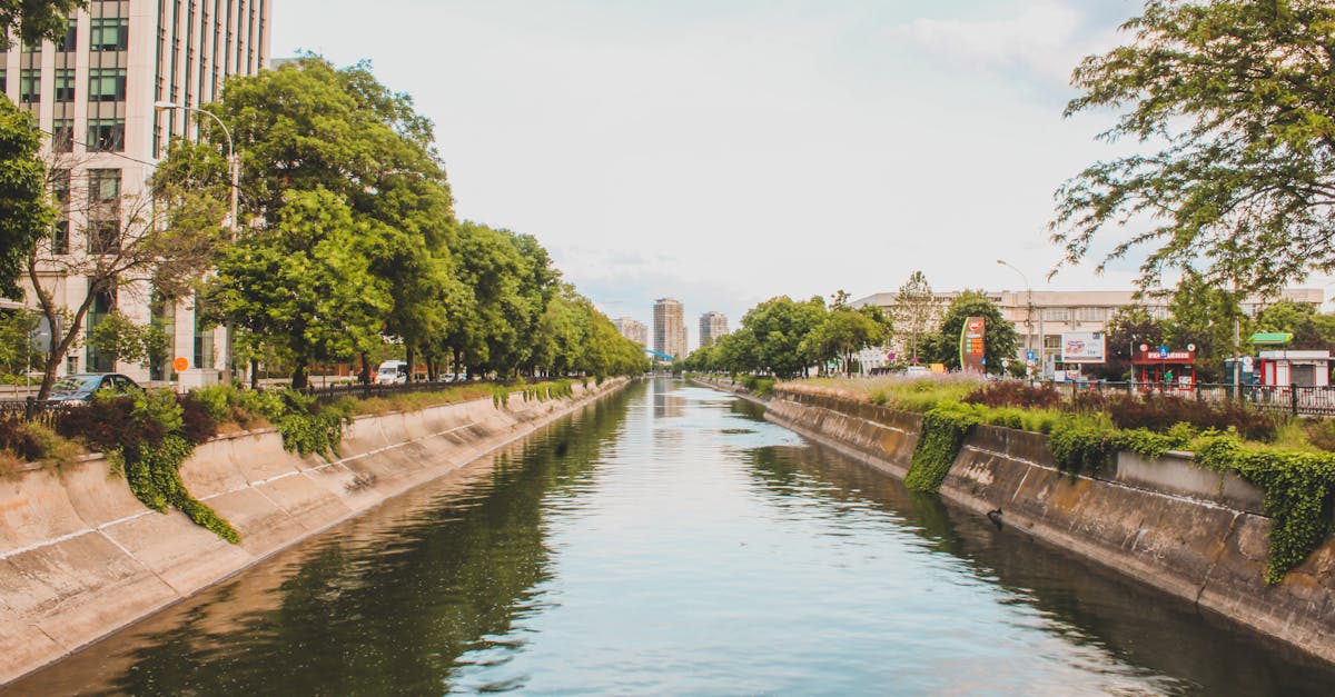 d&eacute;couvrez comment une ville &eacute;conome en eau optimise la gestion de ses ressources pour un avenir durable et respectueux de l'environnement.